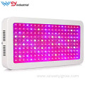 WENYI wholesale best selling 640w led grow light